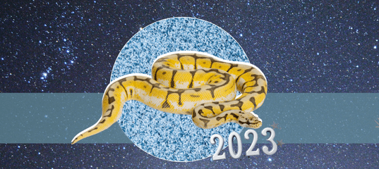 змея весы в 2023